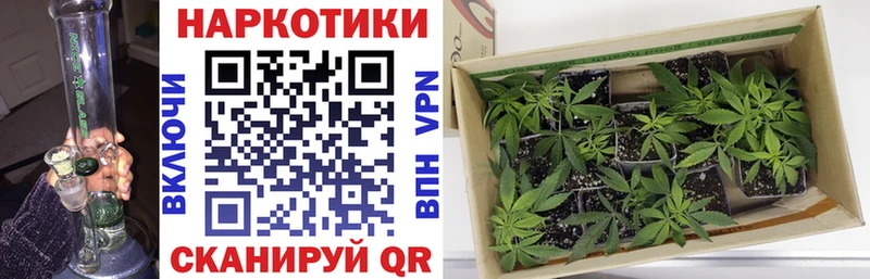 Где продают наркотики Черкесск АМФ  МАРИХУАНА  Меф мяу мяу  Гашиш 
