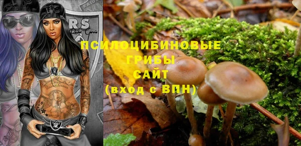 хмурый Заводоуковск