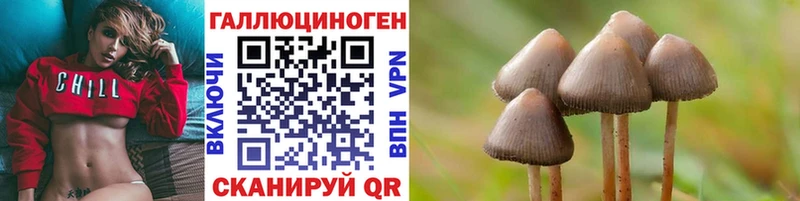 гидра ONION  Черкесск  Галлюциногенные грибы Psilocybine cubensis  площадка формула  где можно купить наркотик 