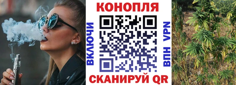 Бошки Шишки Amnesia MEGA ССЫЛКА Черкесск